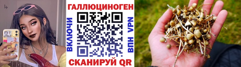 наркотики  Рязань  Галлюциногенные грибы прущие грибы 